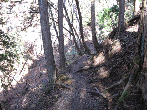 20161206hike (129)